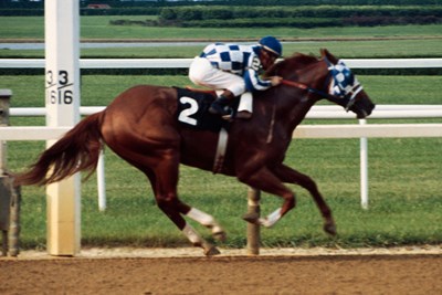 Secretariat 31 length victory