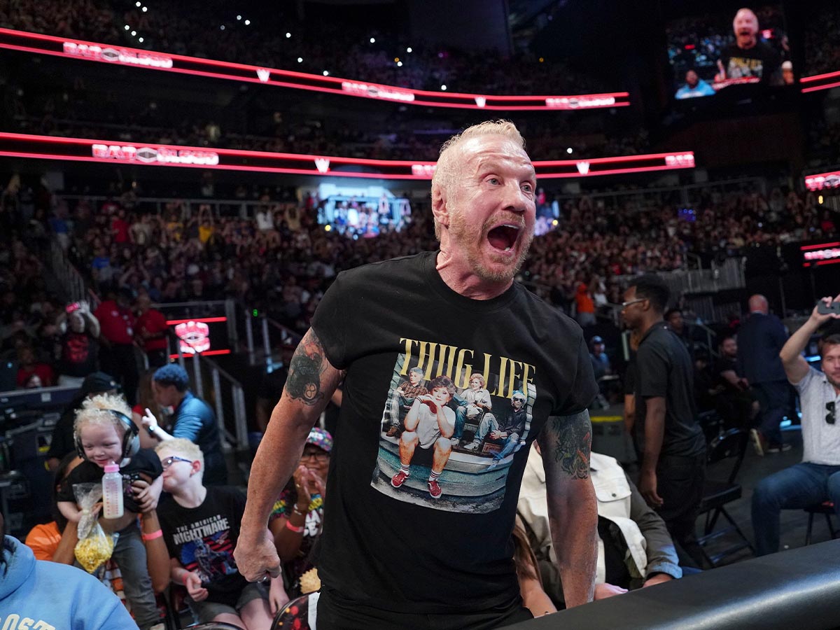 Now: Diamond Dallas Page