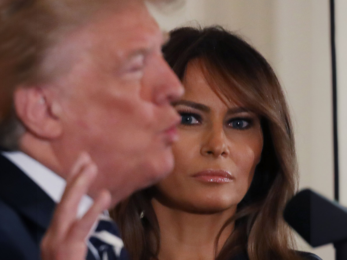 The Look of Focused Adoration