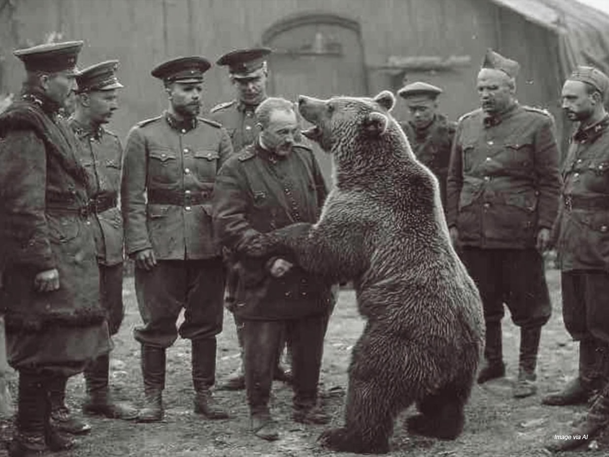 Wojtek, 1944