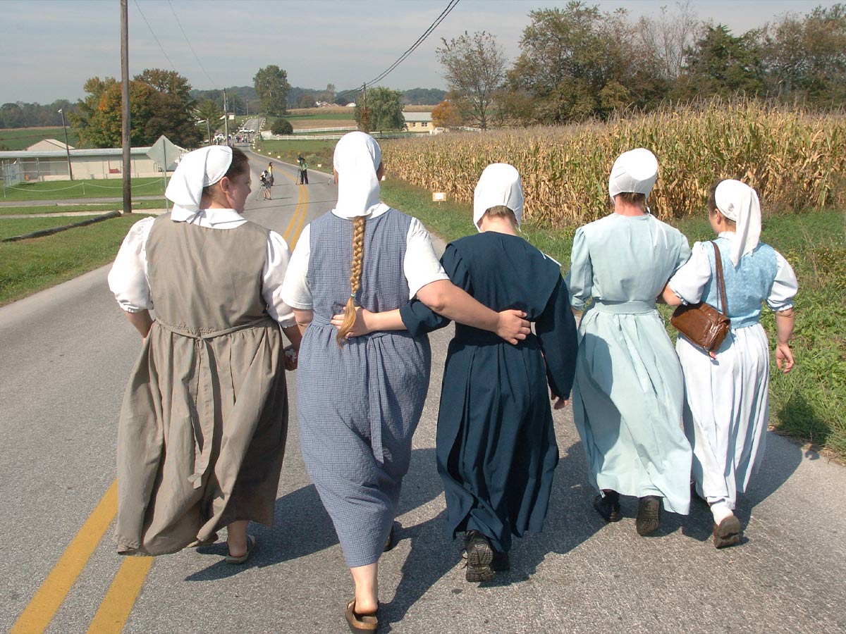 Most of Them Do Come Back