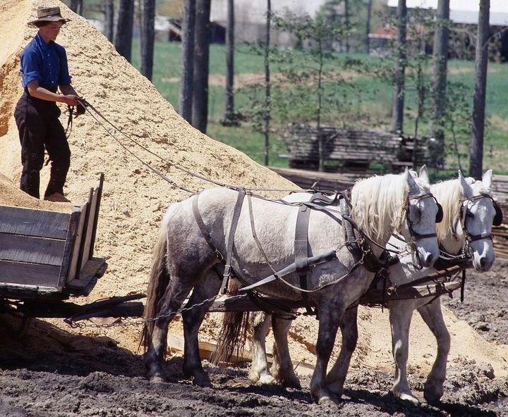 Other Anabaptists Groups