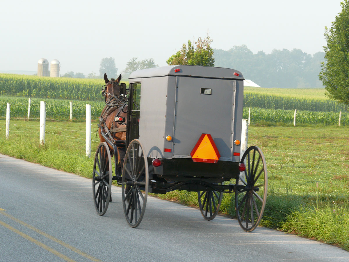 Honeymoon, Amish Style
