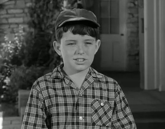Jerry Mathers' Unforgettable Audition