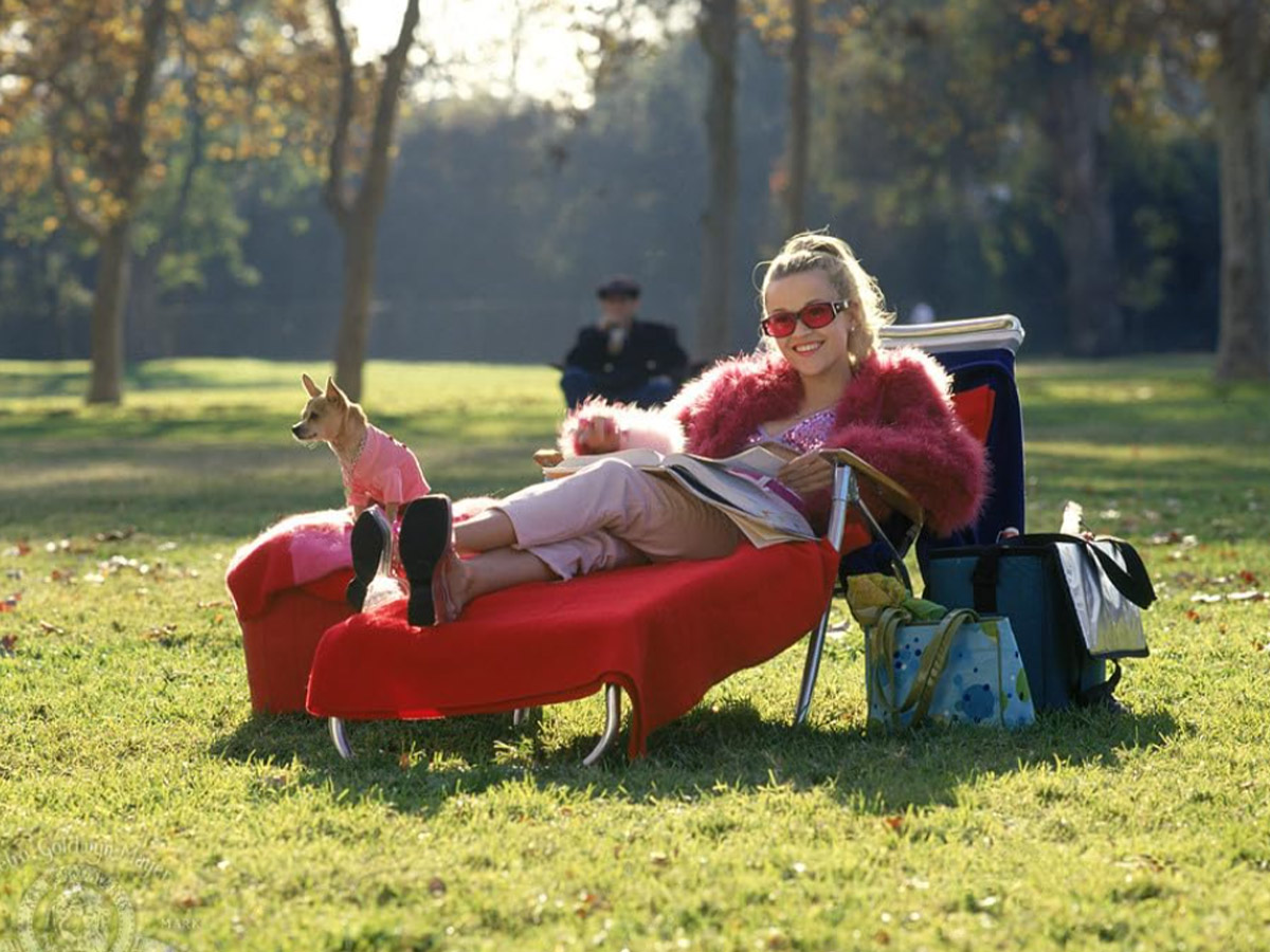 "Clueless" and "Legally Blonde" - Sequel