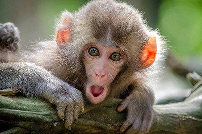 Incredible Things That You Probably Don't Know, But Should