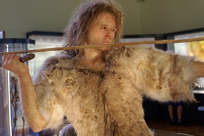 Interesting Facts About Evolution and Early Humans