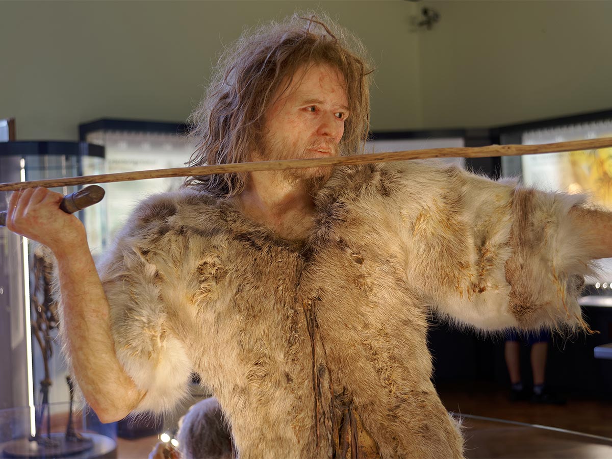 Clothing's Million-Year History