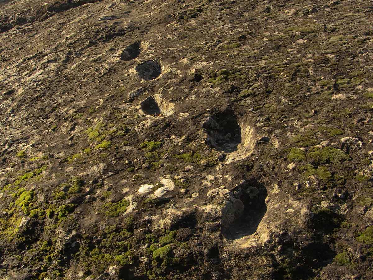 Lava Didn’t Scare Hominids