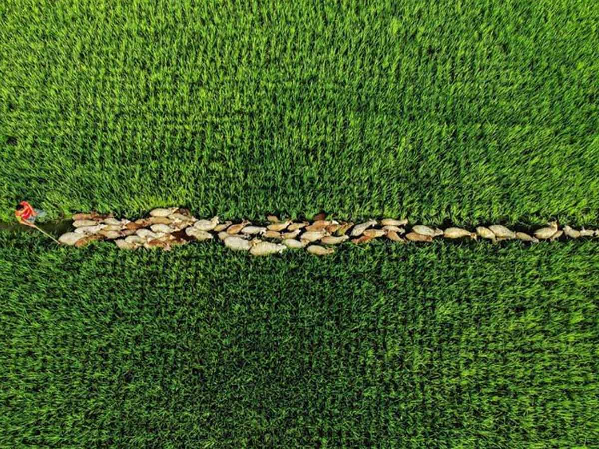 The More Things Change