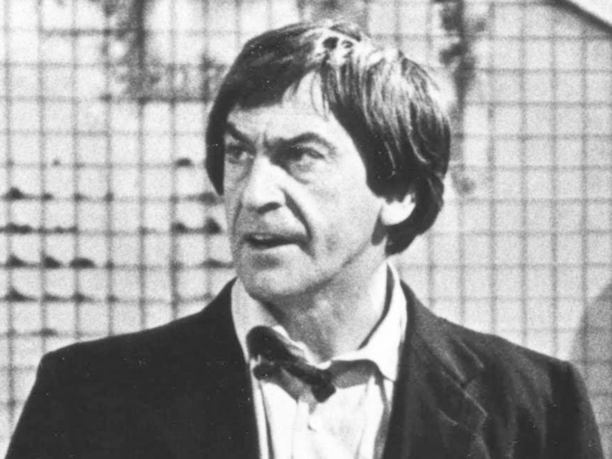 The Doctor (Dr. Who)