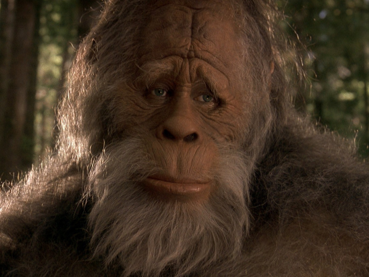 Harry and the Hendersons