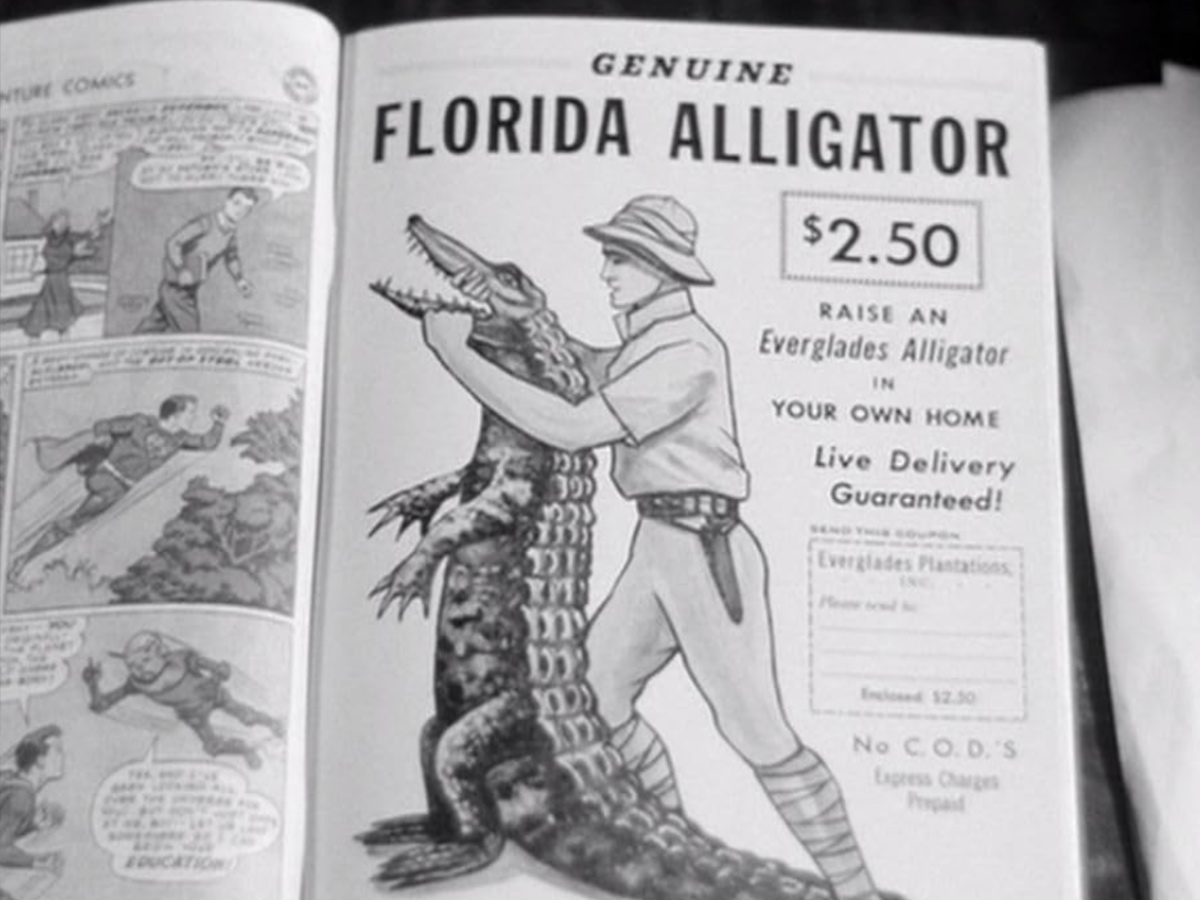 There’s a Superman Comic Book in the Show