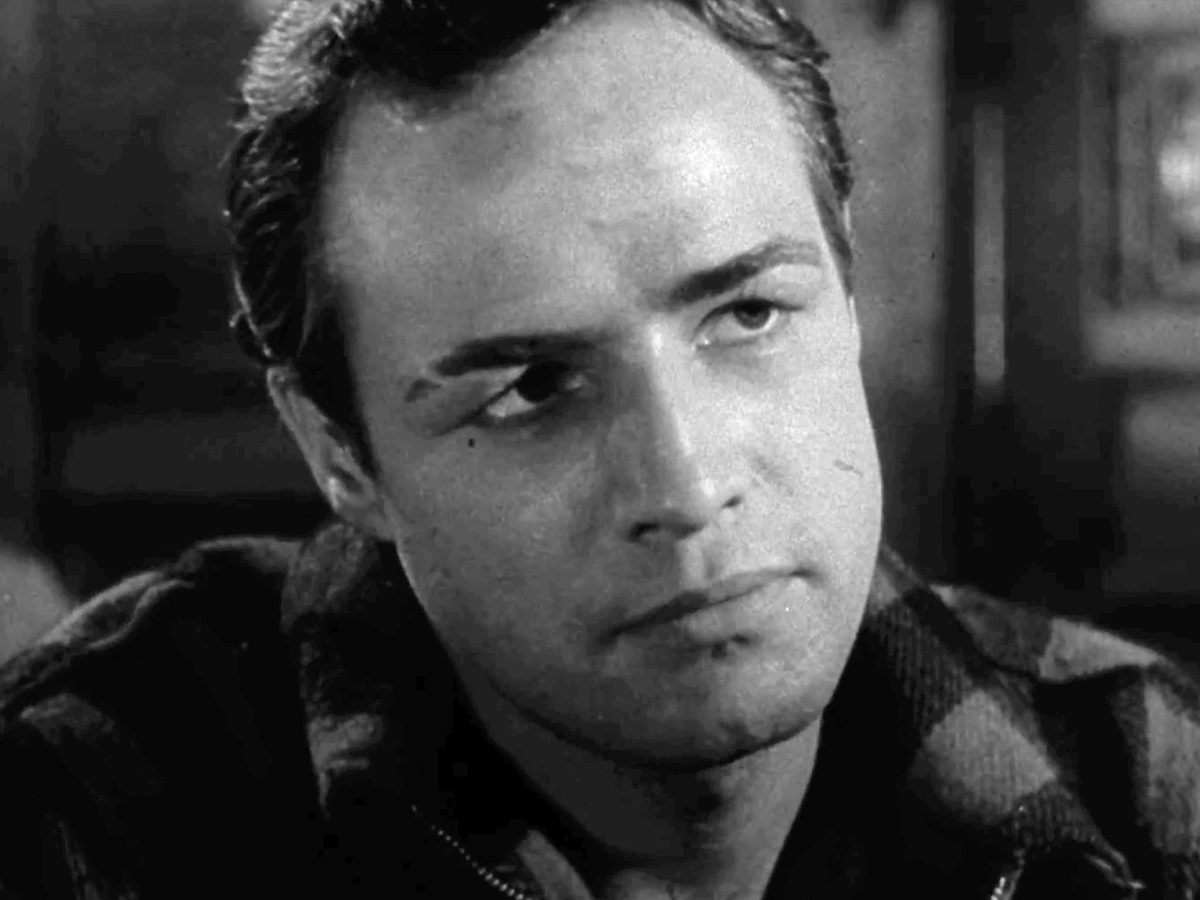 “I coulda had class. I coulda been a contender.”