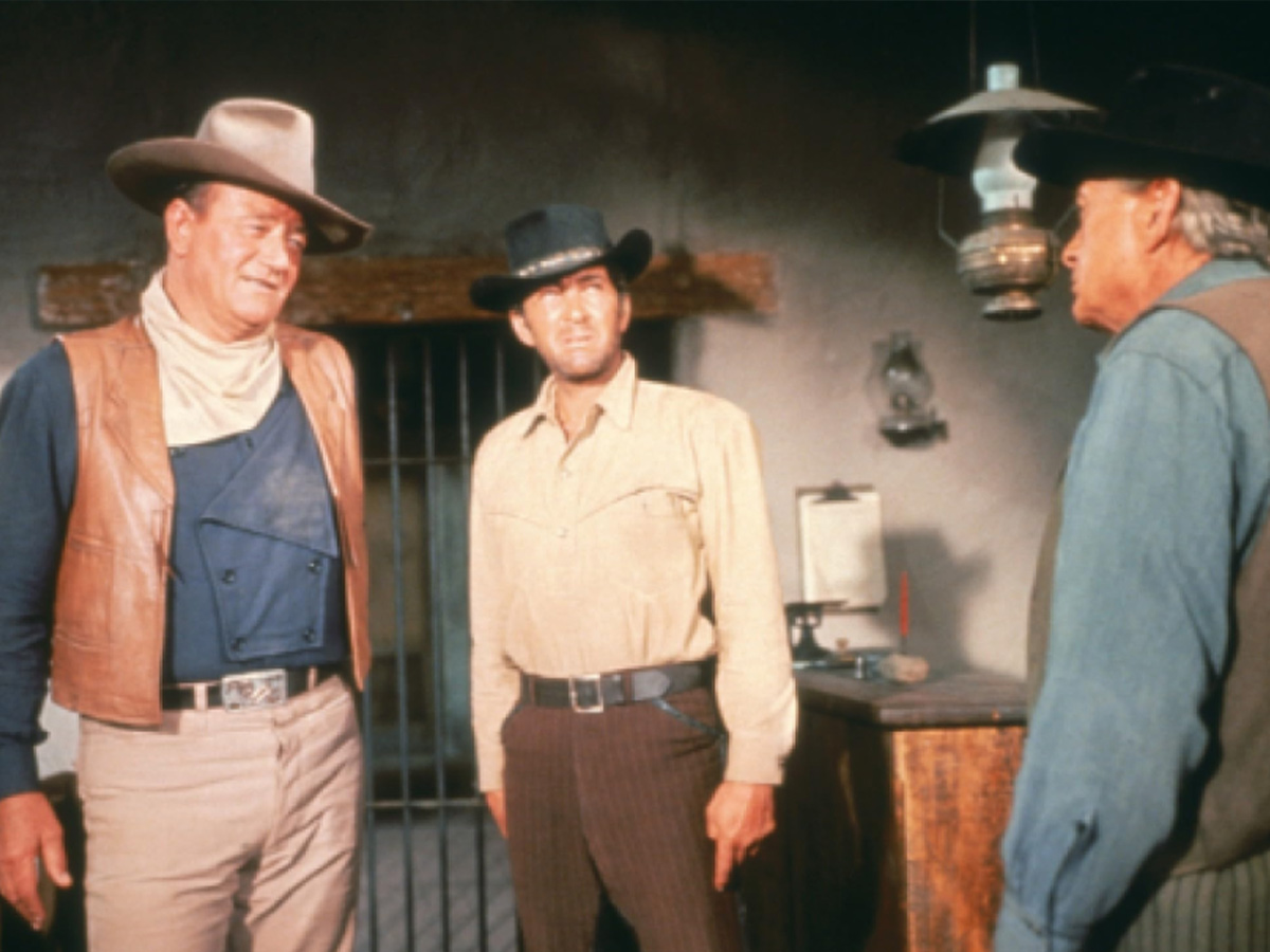 The Sons of Katie Elder