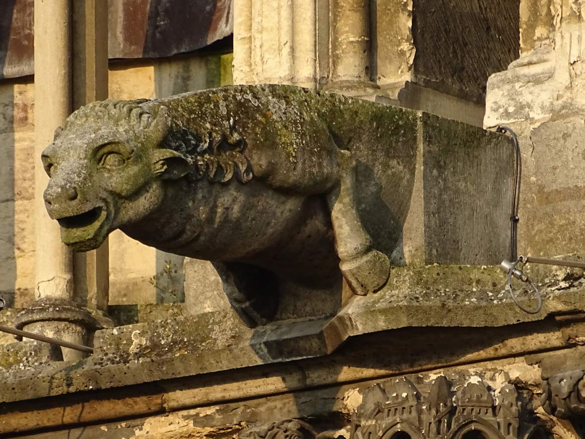 Gargoyles Prevented Water Damage