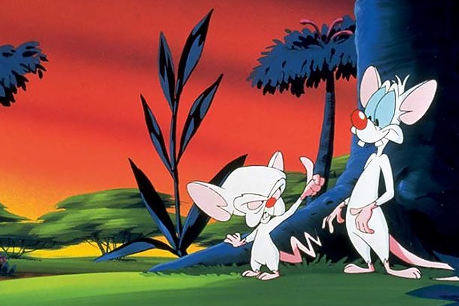 Pinky and the Brain