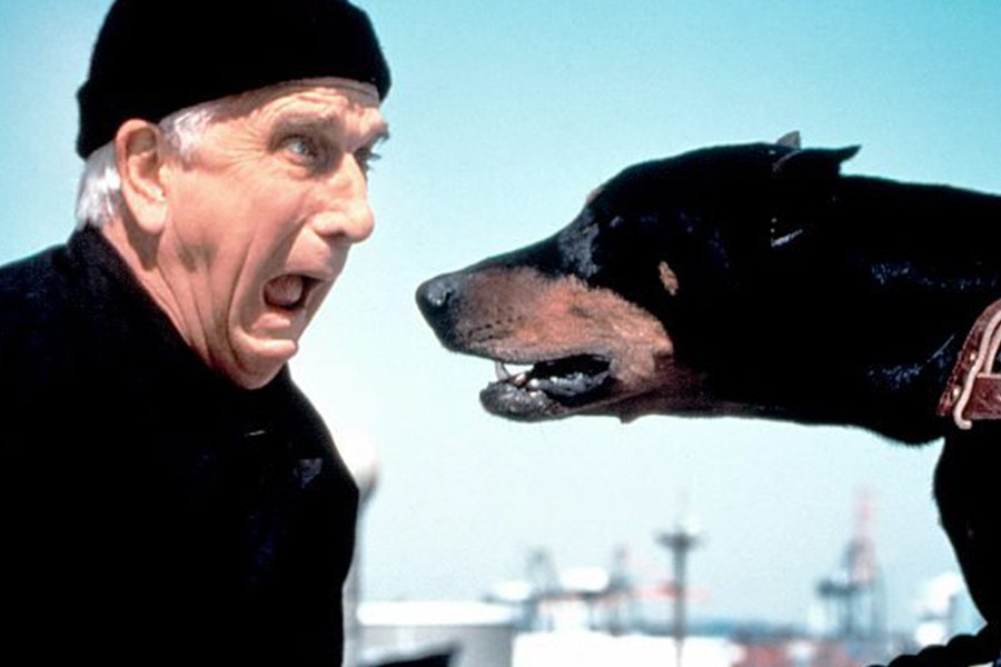 Naked Gun 2 1/2: The Smell of Fear (1991)