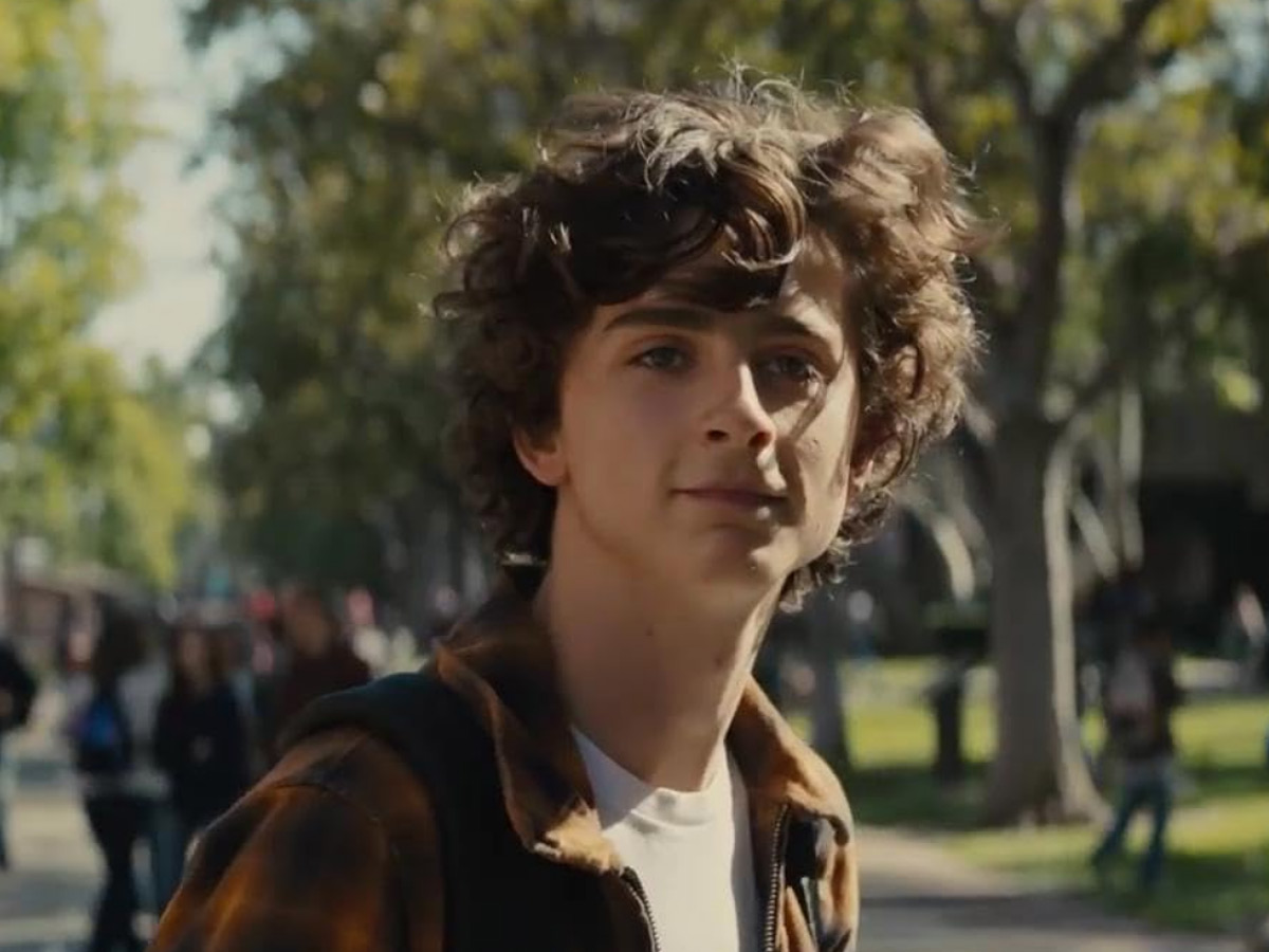 Beautiful Boy - Timothee Chalamet