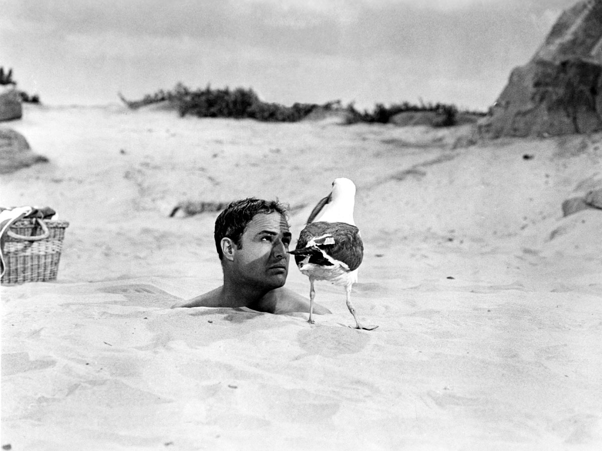 Marlon Brando
