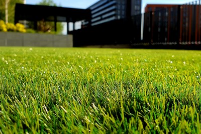 Things You Can't Keep in Your Yard Without a Permit