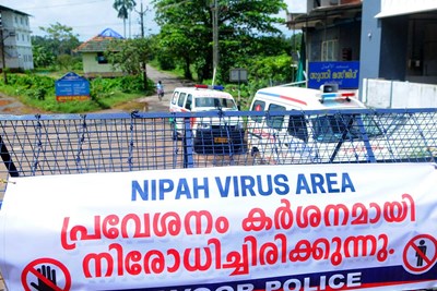 Nipah Virus Threat Grows as Nations Step Up Surveillance