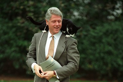 Number of Jobs Created During Each U.S. President