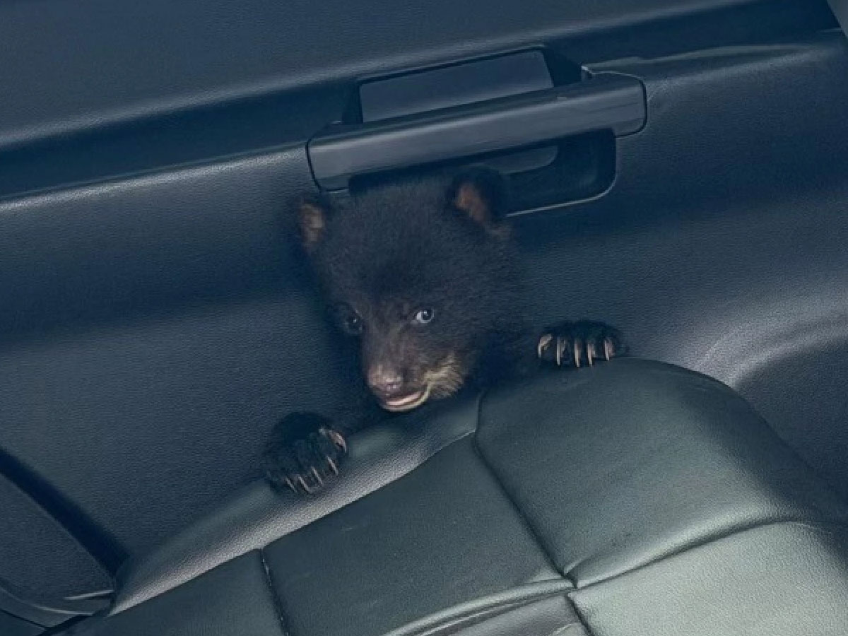 Troopers Respond Quickly