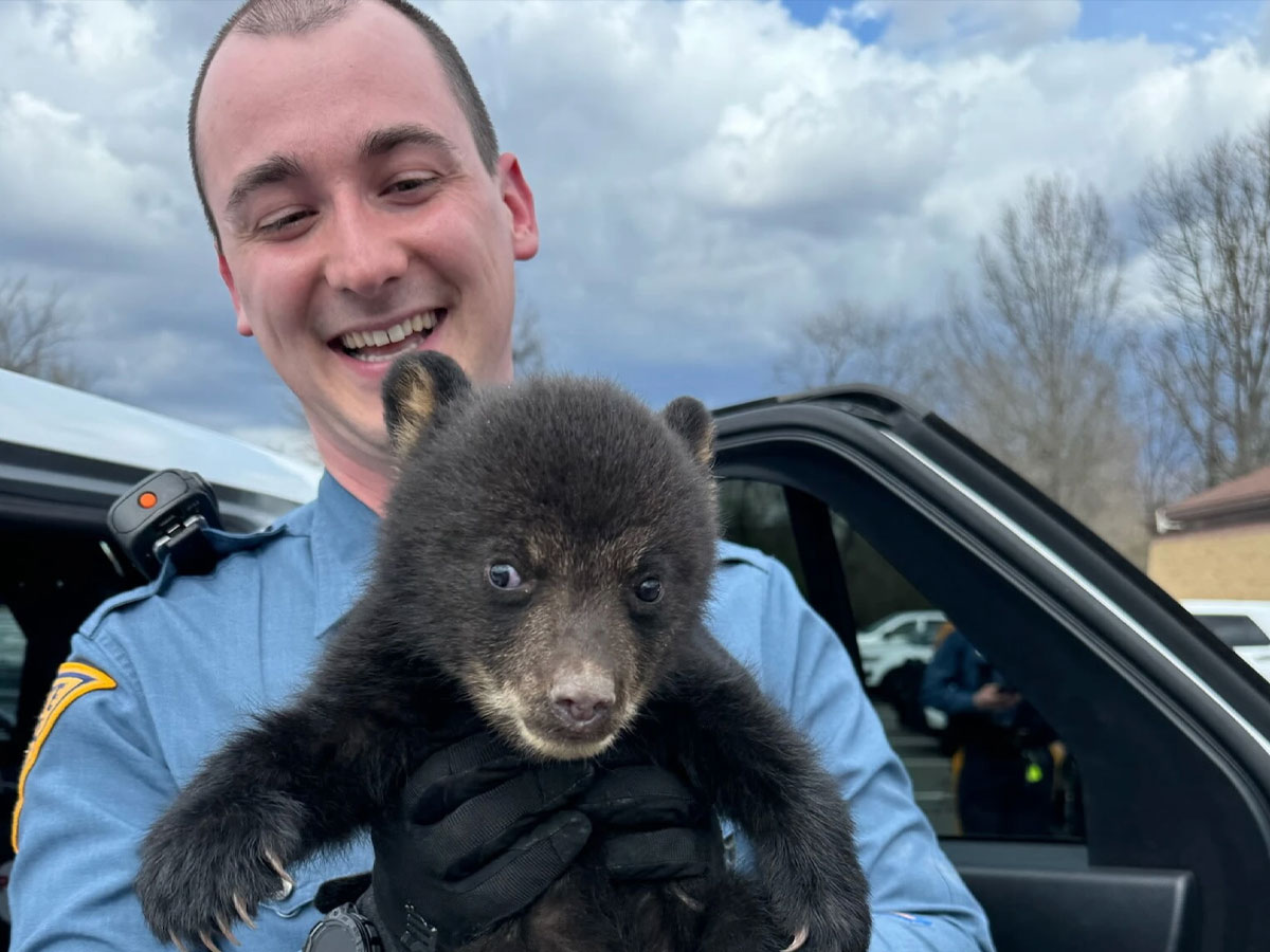 A Startling Sight Along I-78