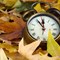 Productive Ways to Use Your Fall Back Hour