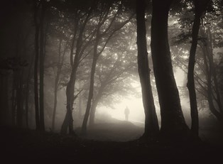 Once Upon A Time Season 4A Recap