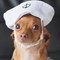 15 Brilliant Howl-oween Dog Costumes