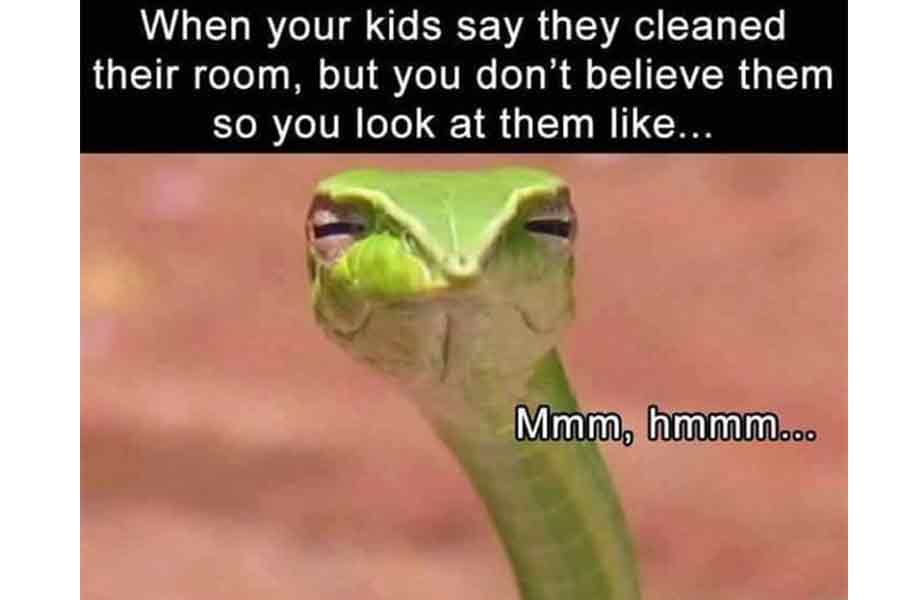 30 Memes Only Moms Will Understand