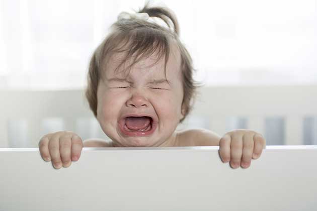 Lo Que Vieron Luego les Heló la Sangre