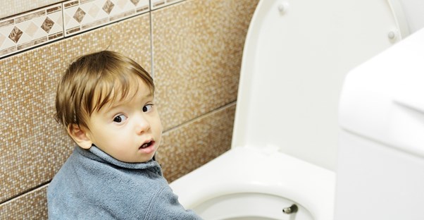 A little boy investigating the toilet