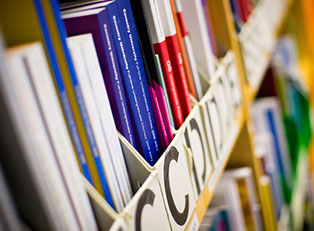 Top Schools for A Psychology Degree