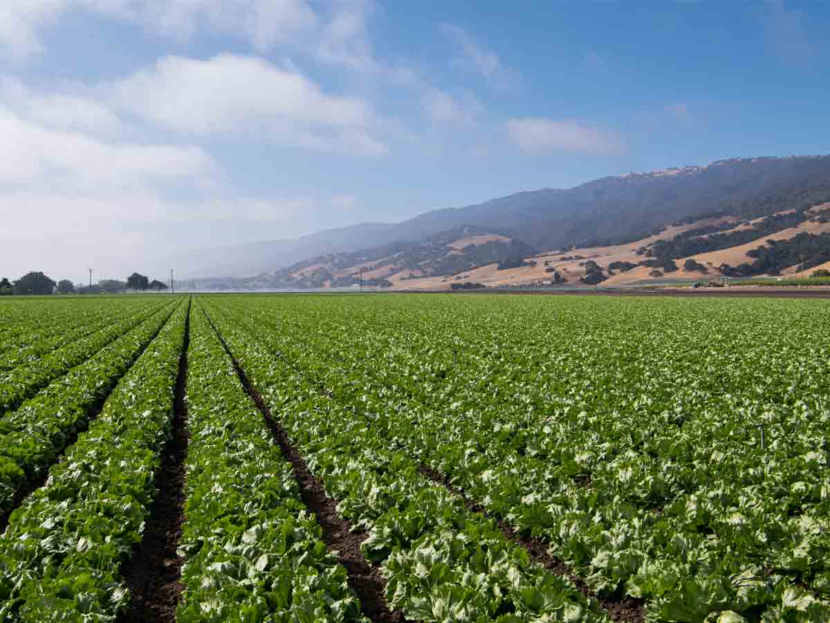 Least: Salinas, California