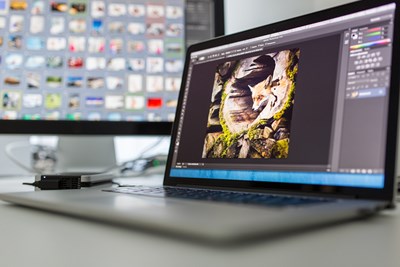 How to (Legally) Get Adobe Creative Suite for Free
