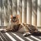 45 Home Decor Mistakes Everyone Over 45 Should Avoid