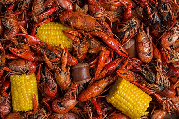 Crawfish
