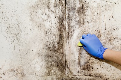 How to Prevent Mold After Water Damage