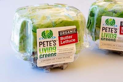 Pete's Living Greens: Rooted in Freshness