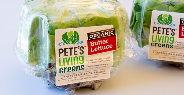 petes living greens butter lettuce
