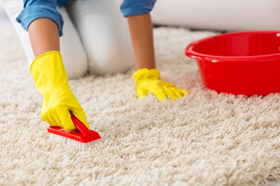 Carpet Cleaning 101: Best Methods for Carpet Stain Removal