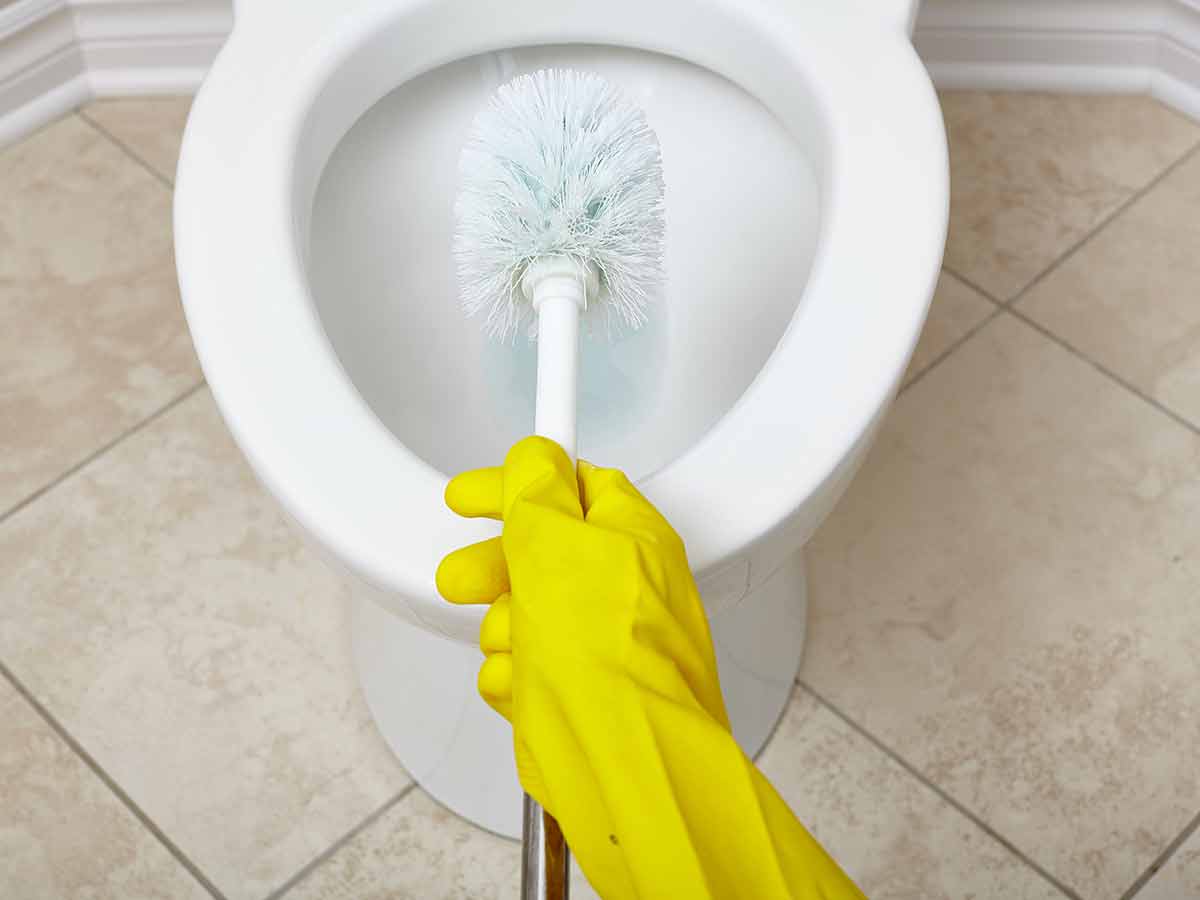 Scrub the Toilet