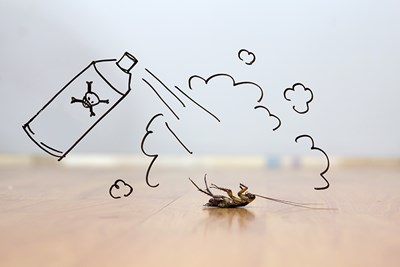 5 Tips for DIY Pest Control