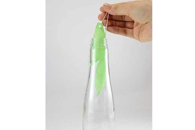 Bottle-Cleaning Beans