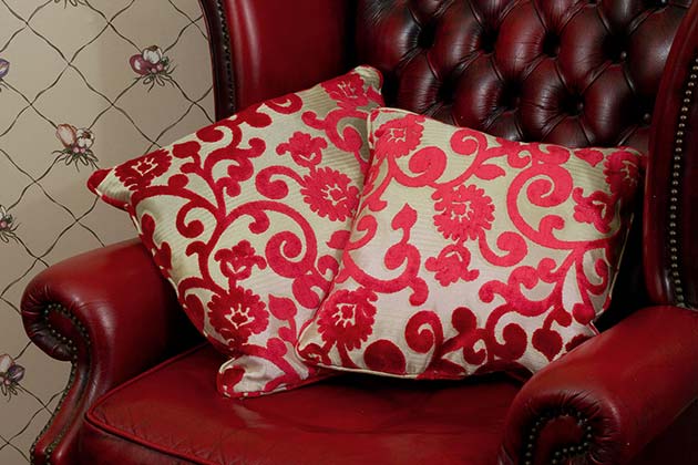 Too Many Throw Pillows