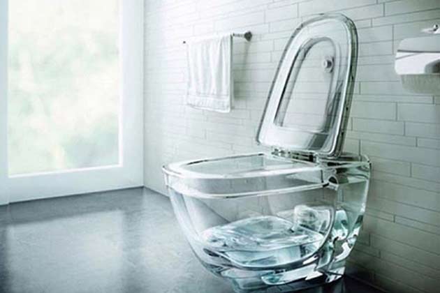 A See-Through Toilet