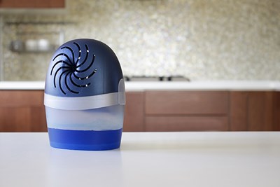 The 5 Best Dehumidifiers